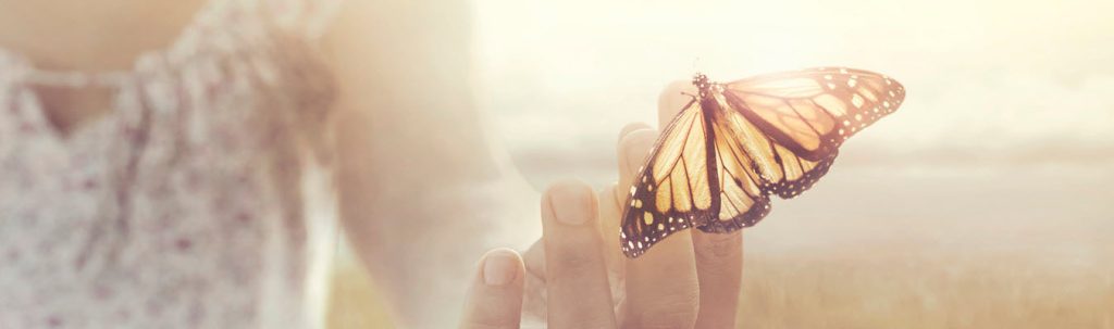 Heart & Mind Insights