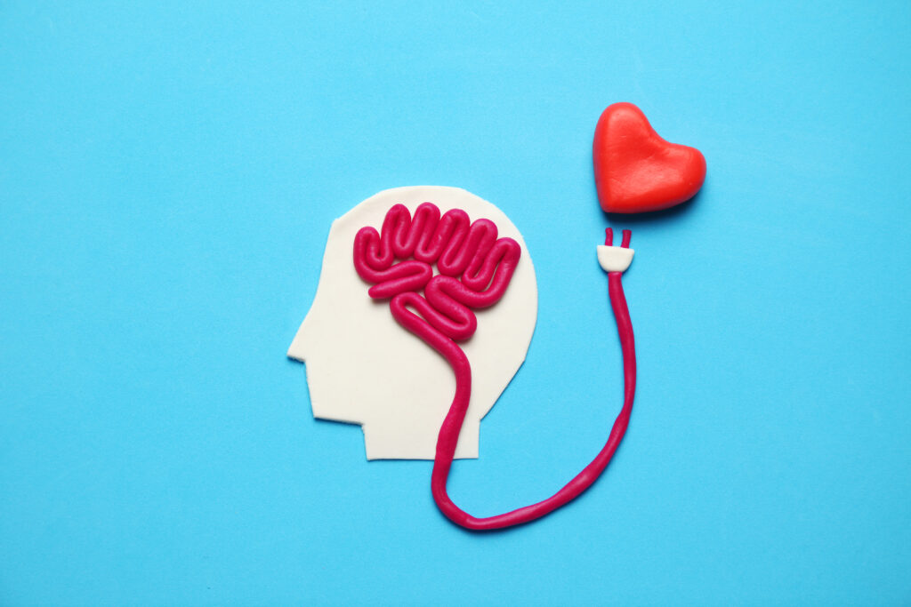 a white paper silhouette of a face against a blue background - the brain is drawn with red yarn which extends out past the head and is about to connect to a clay heart via a plug at the end of the yarn