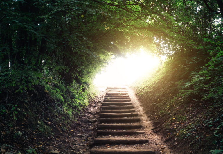 Old stone steps lead up to an opening in a thick hedgerow with sunshine shining through