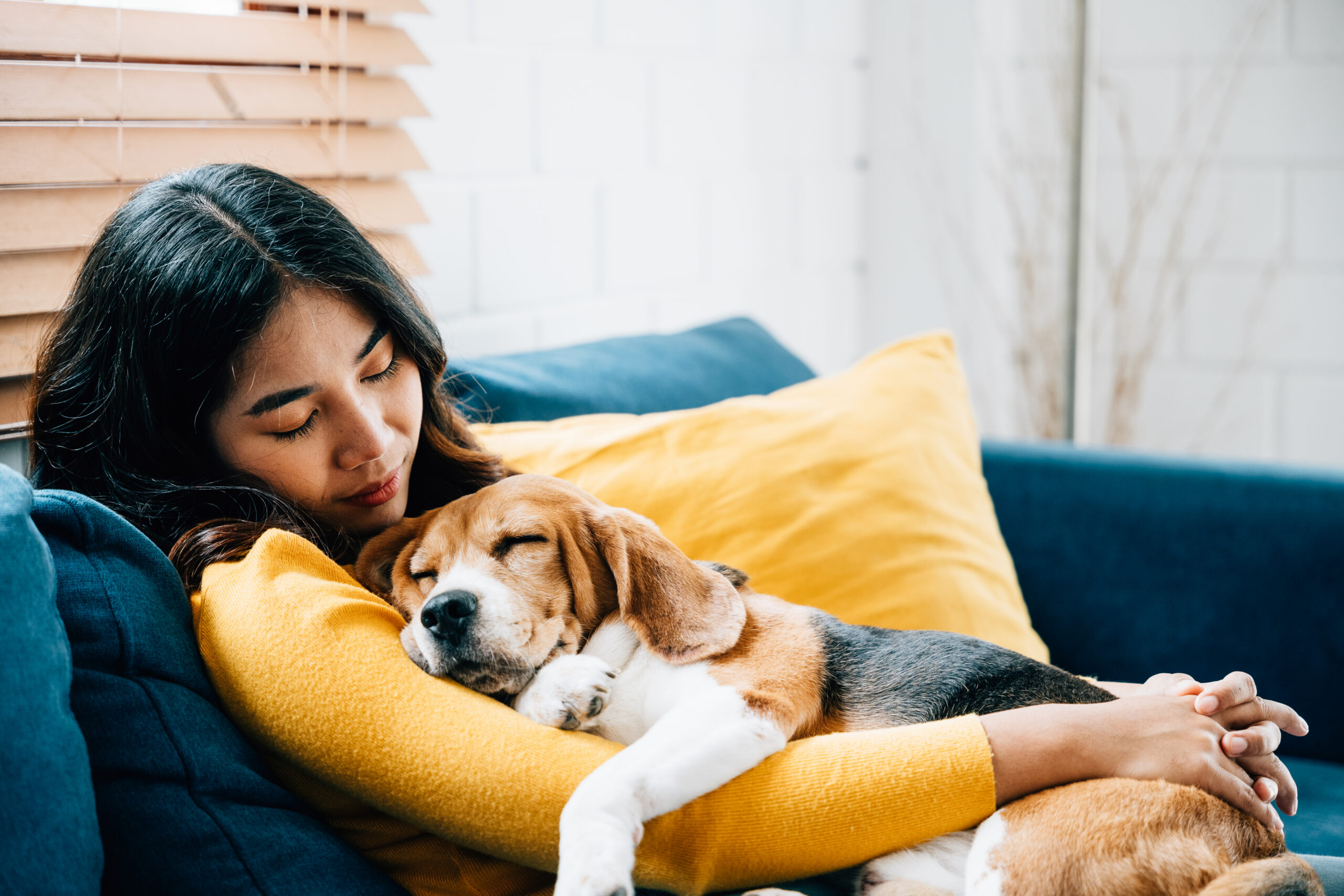 A woman snuggles on a comfortable couch, her beagle asleep in her arms and her chin resting on the top of the little dog's head.