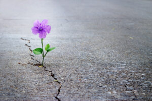 hope and resilience online counseling in DC and VA
